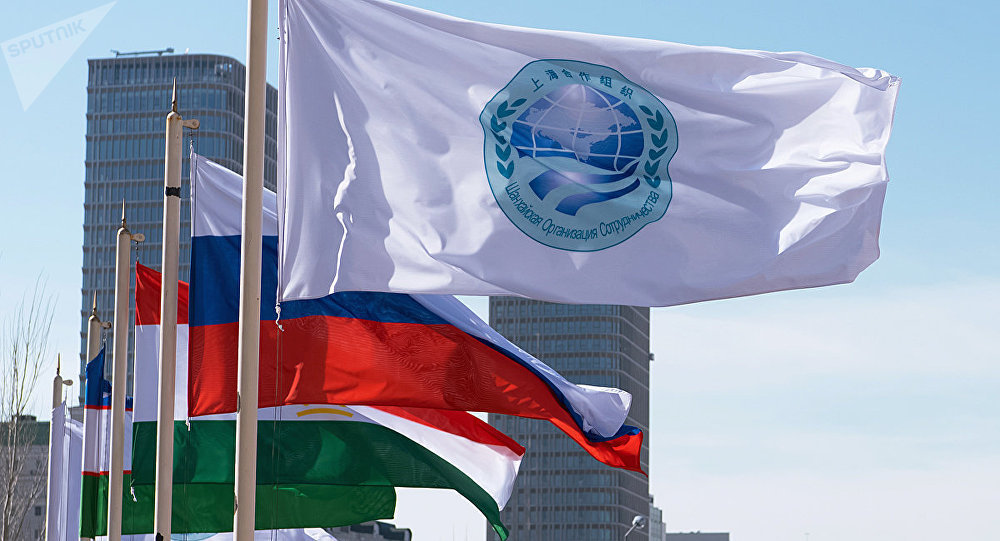 Новосибирск примет третий студенческий форум стран ШОС  
