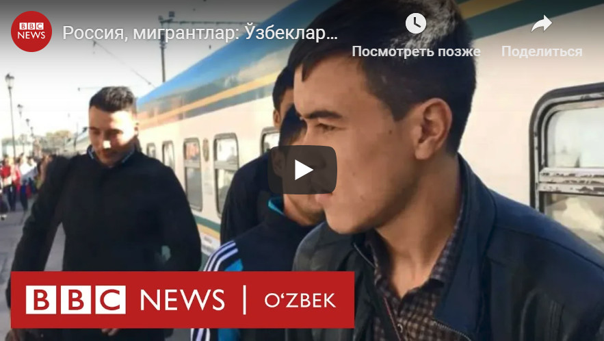 Россия, мигрантлар: Ўзбеклар иш деб, пул деб ўляпти...